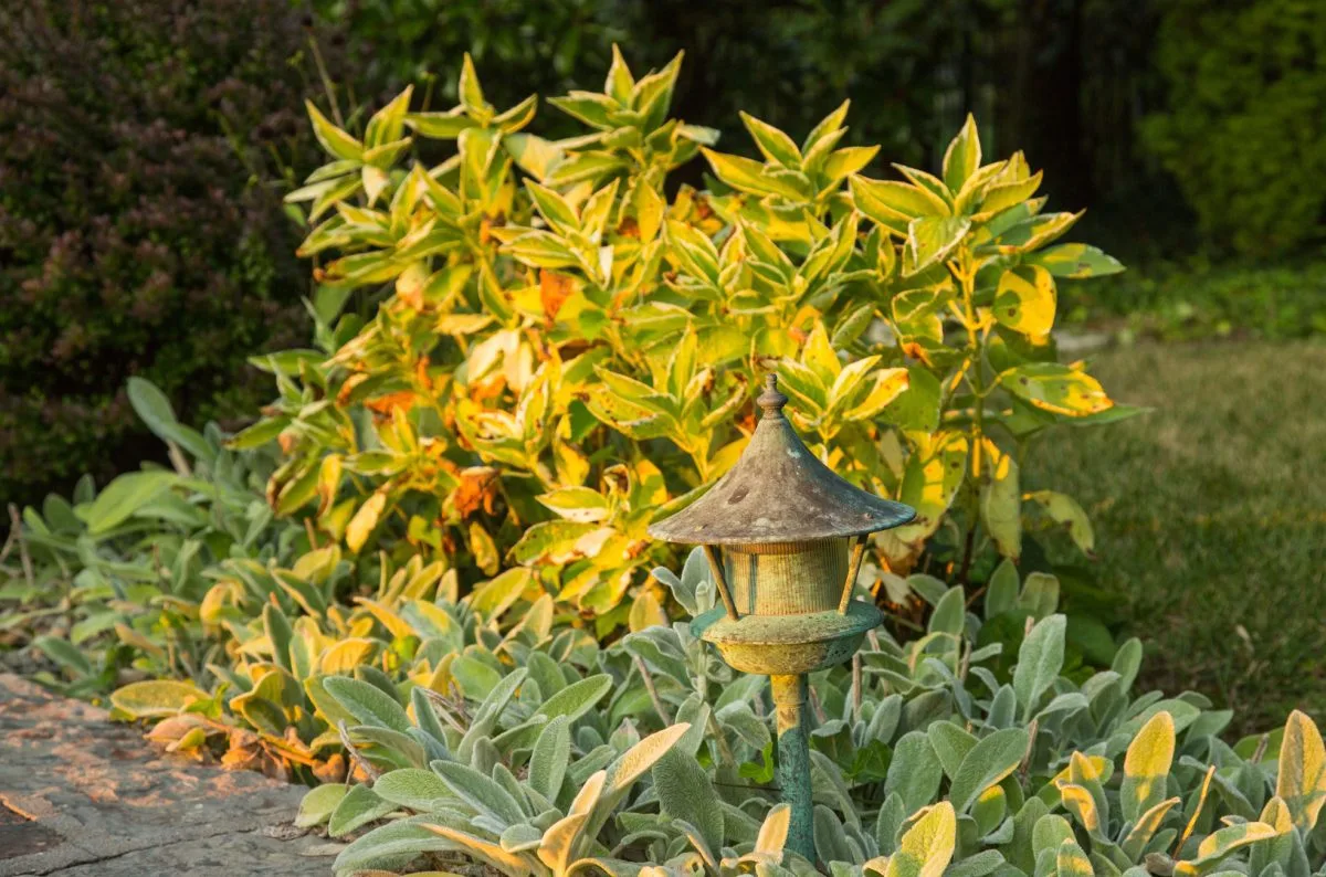 Outdoor garden design St. Louis